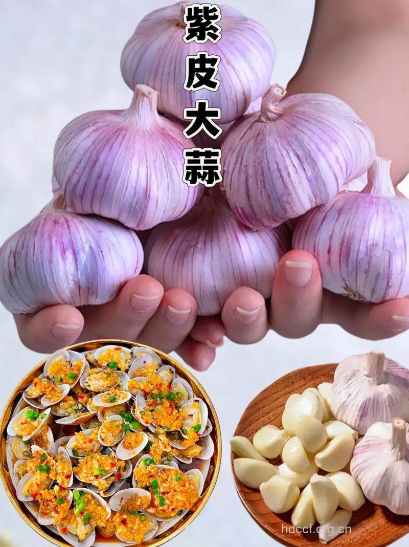 夏天吃蒜既营养又勾引食欲