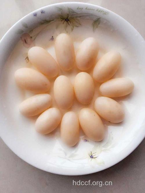 乌龟蛋的营养价值