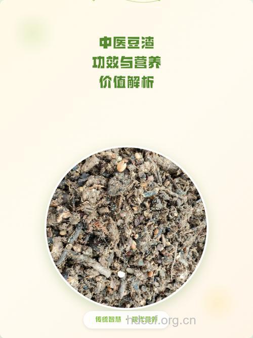 豆渣的营养价值