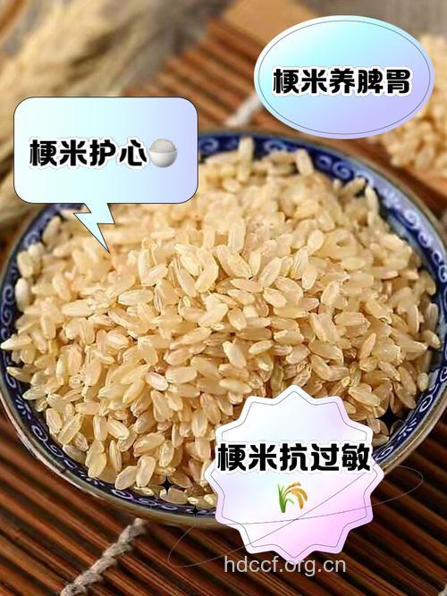 粥中渗梗米可治百病