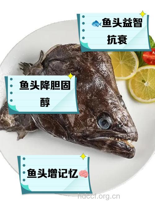 鱼头的营养价值