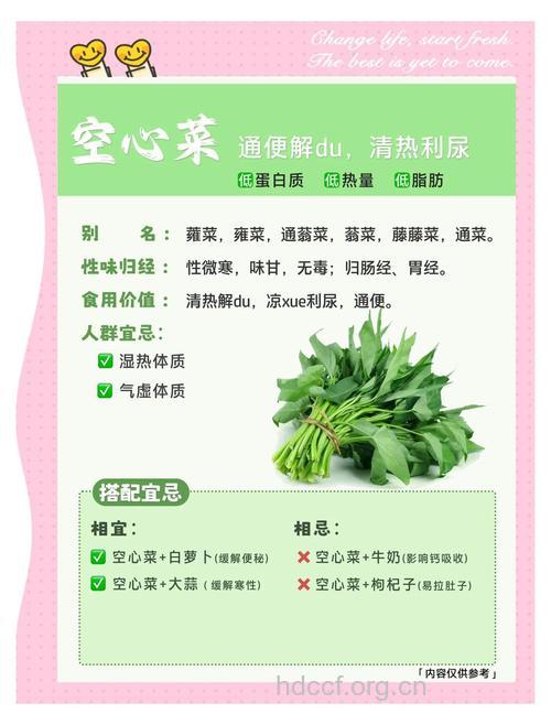 空心菜的营养价值有哪些