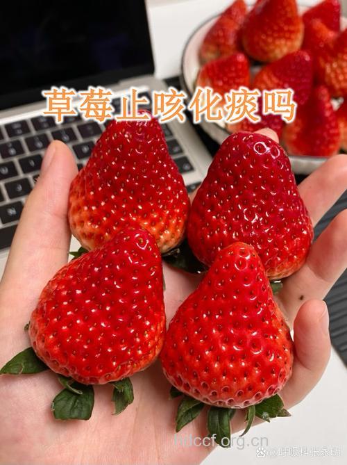 春季来点草莓让你的胃蠕动更快