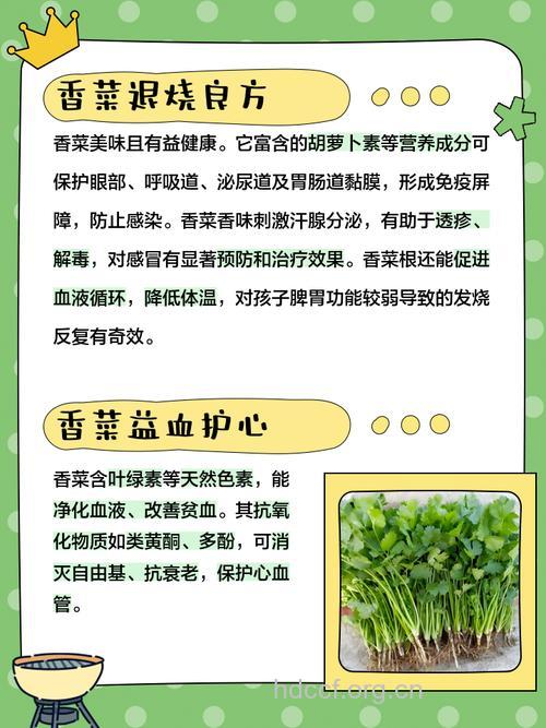 夏季吃香菜有哪些好处