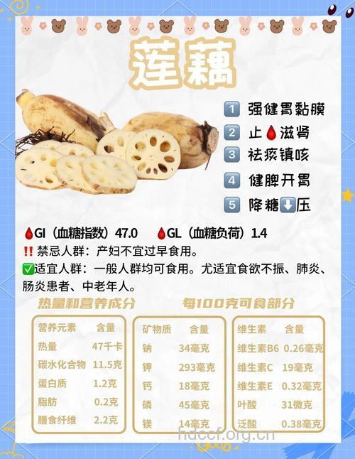 夏季养生多吃藕 盘点藕的各个部位功效