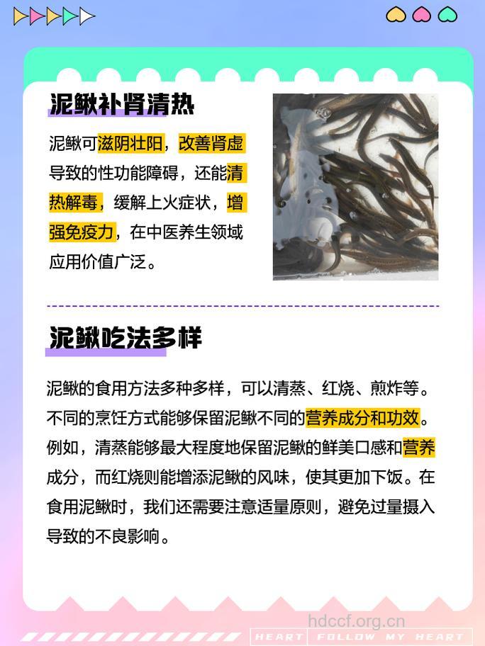 泥鳅的营养价值有哪些