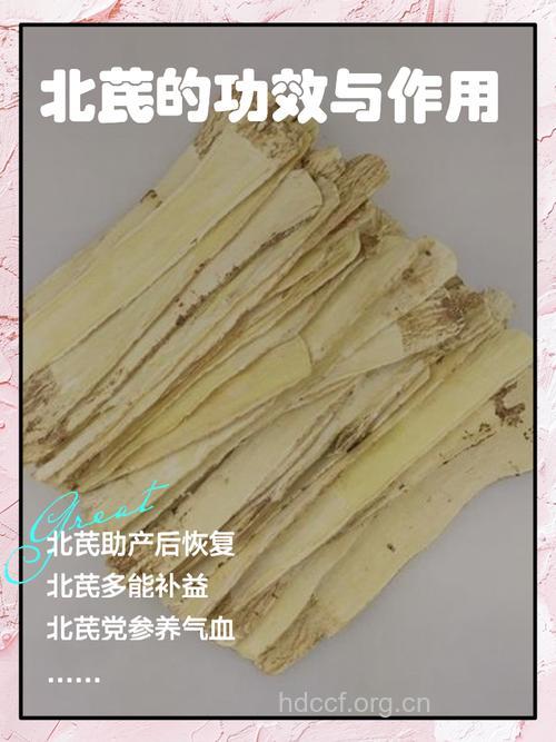 细数北芪的N多功效