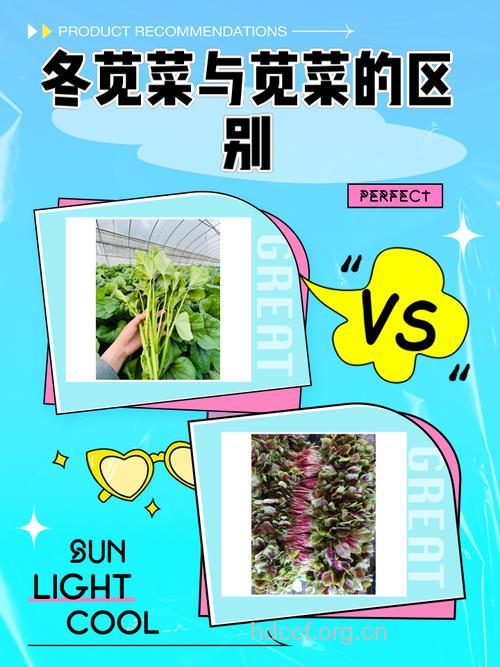 春夏交接之际你爱上蔬菜了吗