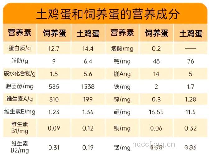 盘点土鸡蛋的营养价值