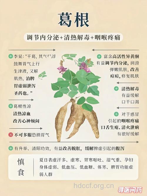 女人秋季的保护神
