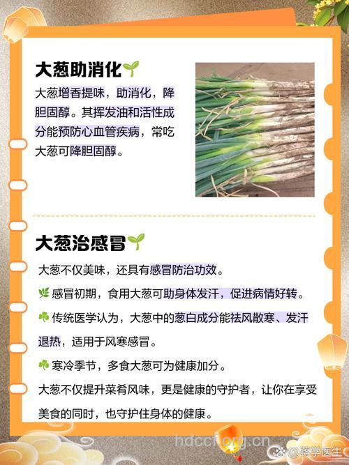 葱对人体的好处有哪些