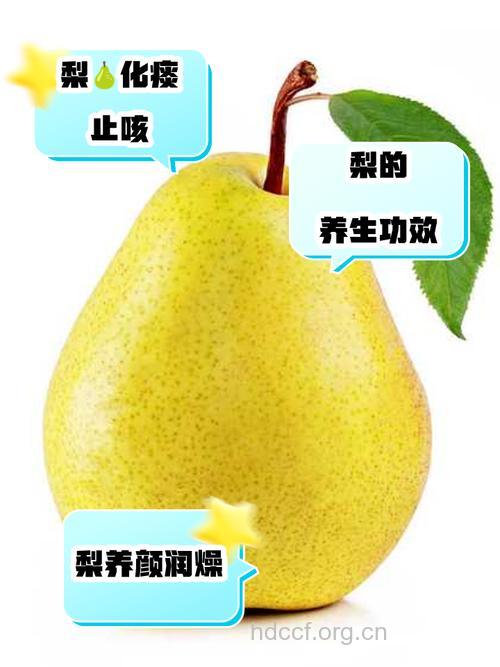 饭后吃梨排致癌物 春季吃梨的6大好处