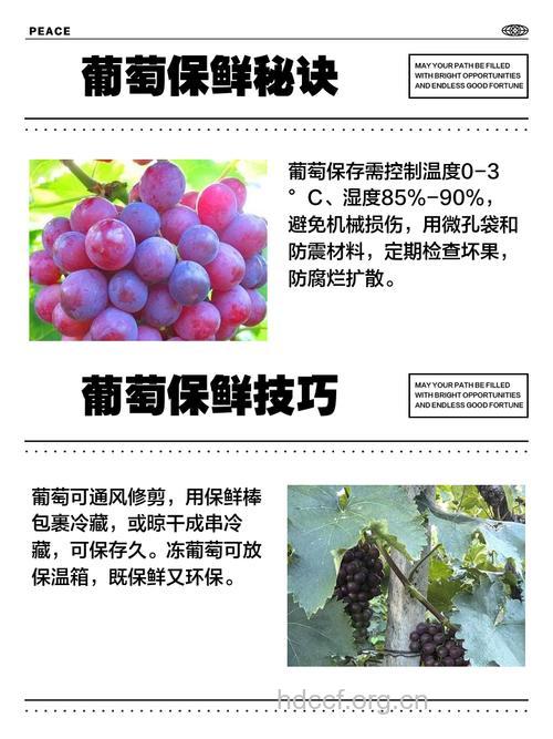 葡萄应该怎样保存呢