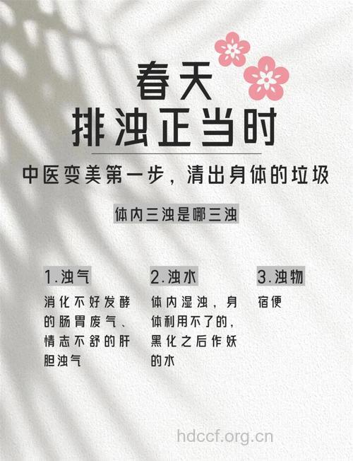 春天排毒好帮手