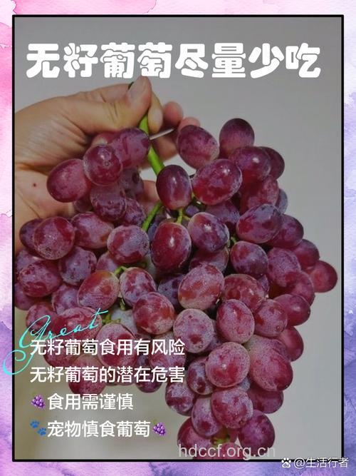 吃葡萄不吐葡萄籽更健康
