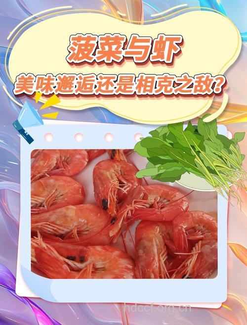 菠菜能和虾一起吃吗 看完就明白