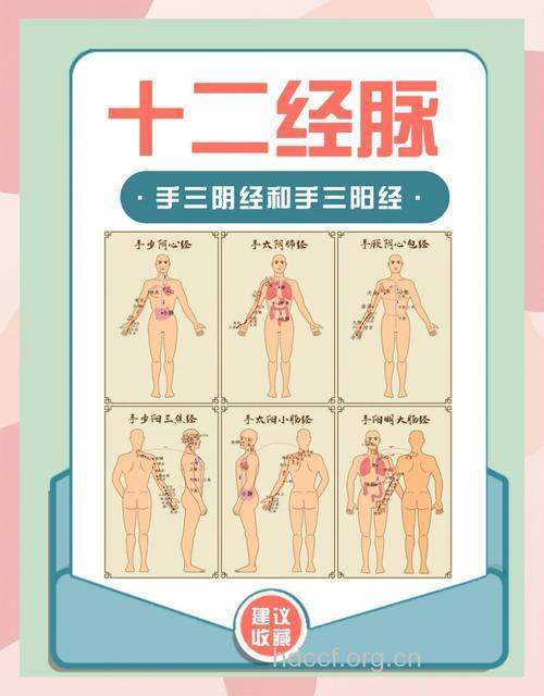 怎么从手看懂身体密码