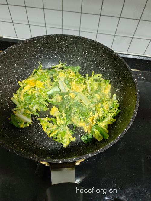 苦菊能炒着吃吗 素炒、蛋炒都美味好吃