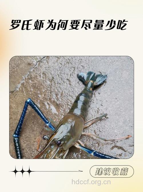 好吃小龙虾在招手 不吃虾头更健康