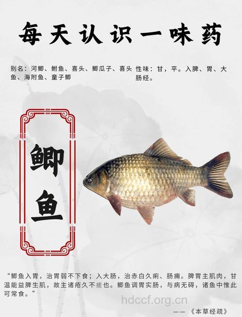 鲫鱼汤的功效与作用