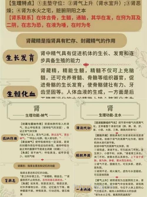 男人养肾有什么好处