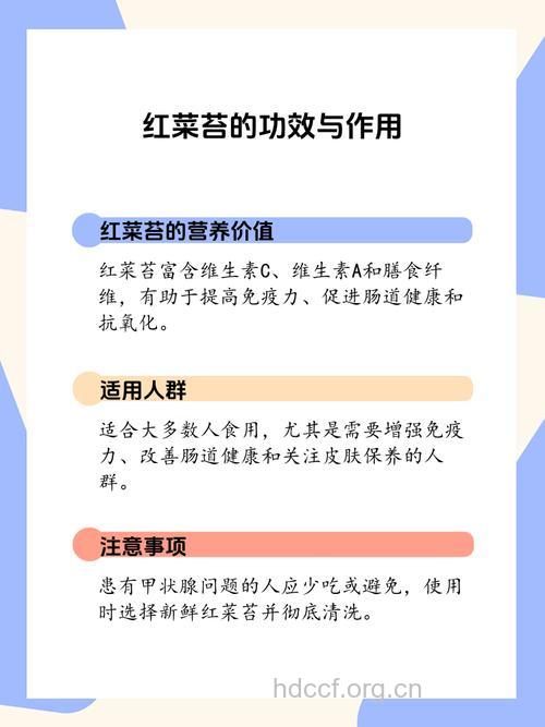 红菜苔的营养价值