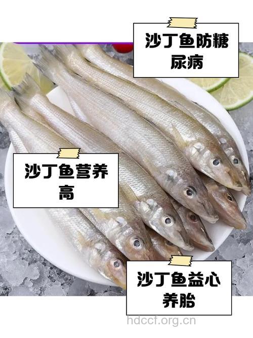 沙丁鱼的营养价值