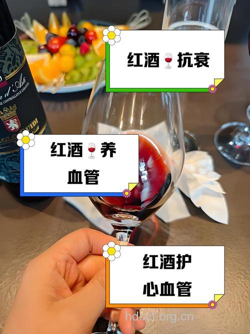 女性每日两杯红酒有效护骨