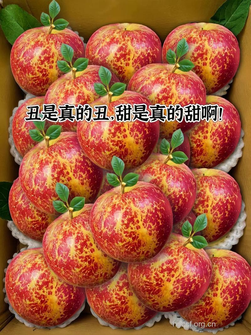 什么原因让这些水果长得丑陋
