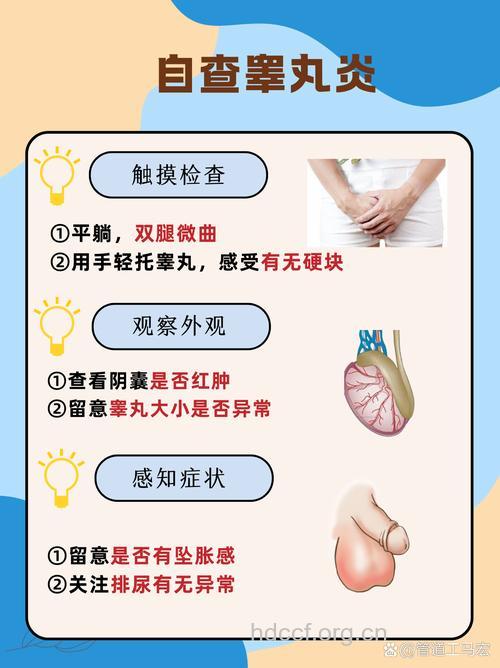 哪些疾病危害男性睾丸健康