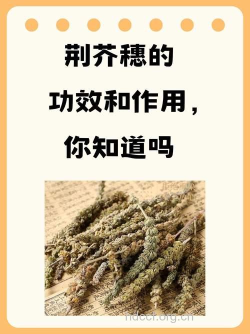 荆芥穗的功效与作用