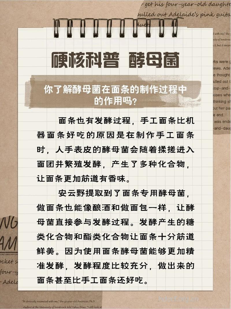 酵母的功效与作用