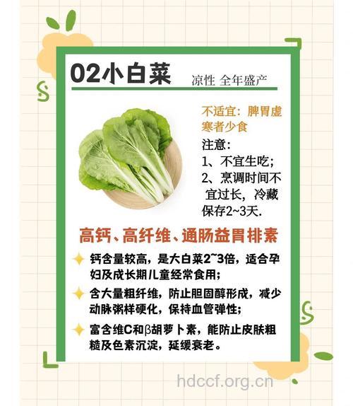白菜的营养价值