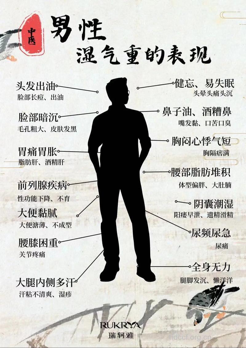 中年男性最容易亚健康