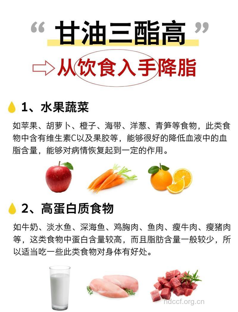 高脂饮食要把控 健康才有保障