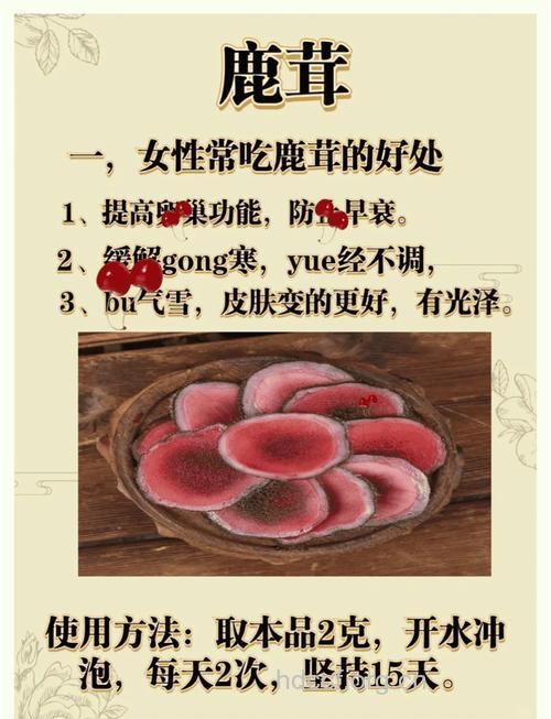 鹿茸的功效与作用及食用方法