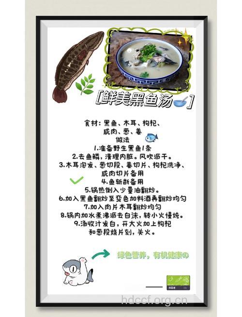 黑鱼汤的功效与作用