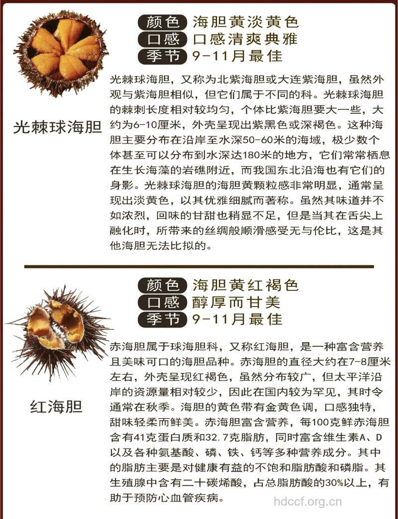 海胆的营养价值