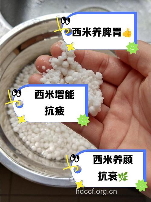 西米的营养价值