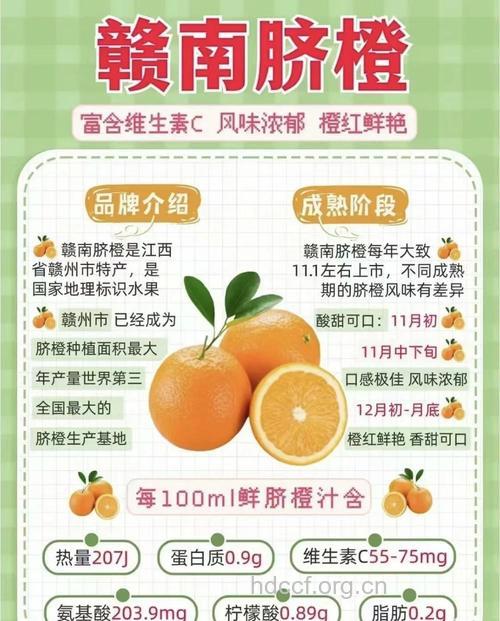 脐橙的营养价值