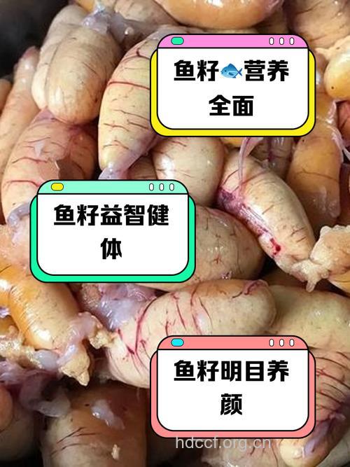 鱼籽的营养价值