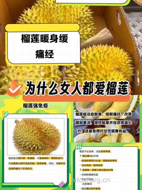 吃榴莲好处多 这7大禁忌要知道