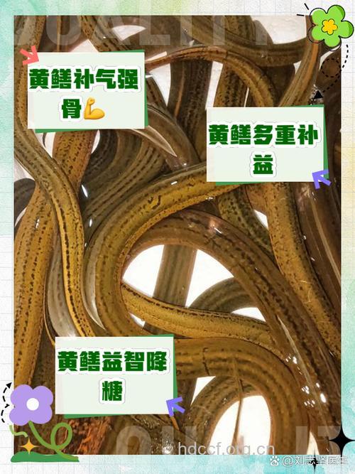 强记忆补气血 经常吃黄鳝有5大功效