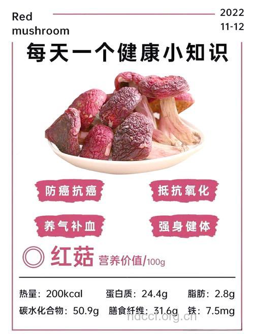 红蘑的营养价值
