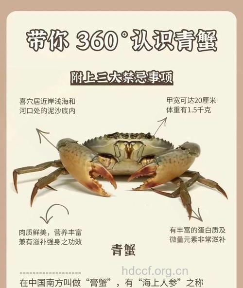 青蟹的营养价值与做法