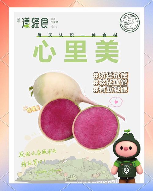 心里美萝卜的营养价值