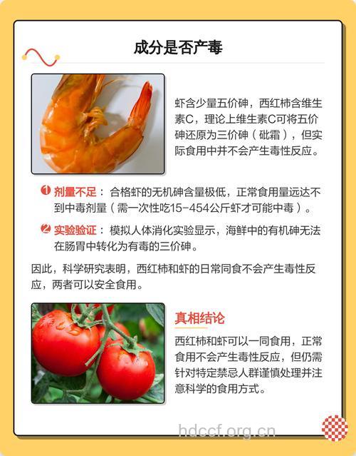 虾和西红柿能一起吃吗 吃虾要注意这些
