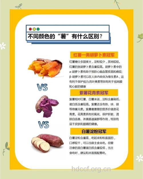 白薯红薯和紫薯哪个更营养 你一定猜不到