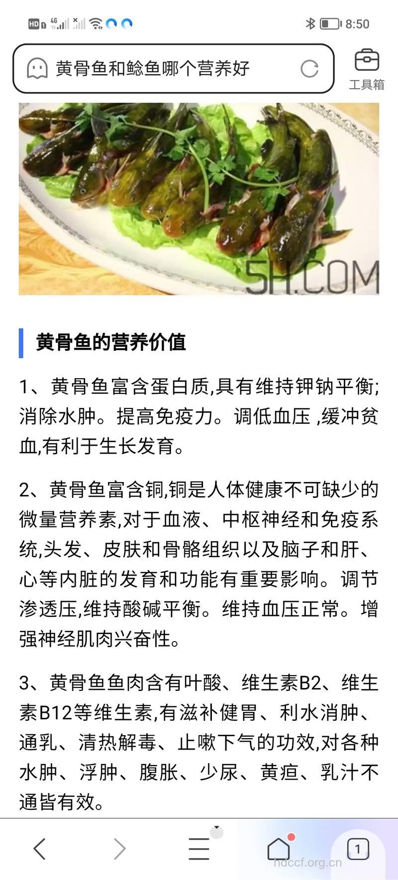 黄骨鱼的营养价值