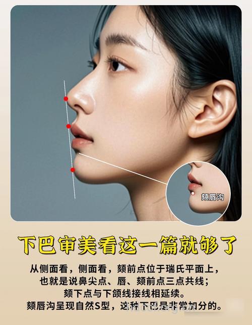 怎么样的下颌角最好看